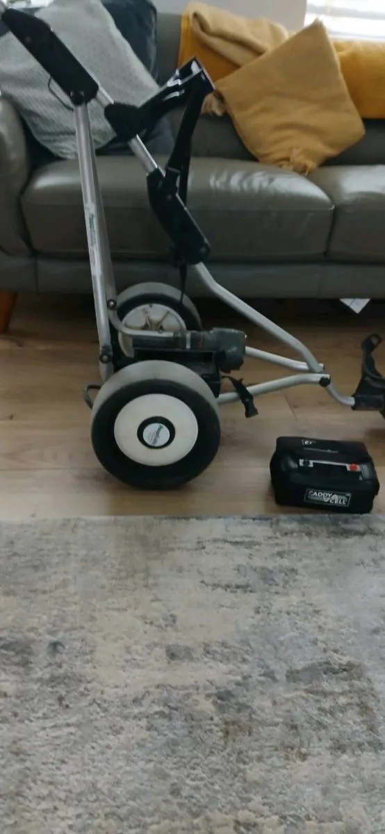 Electric golf  cart - Image 4