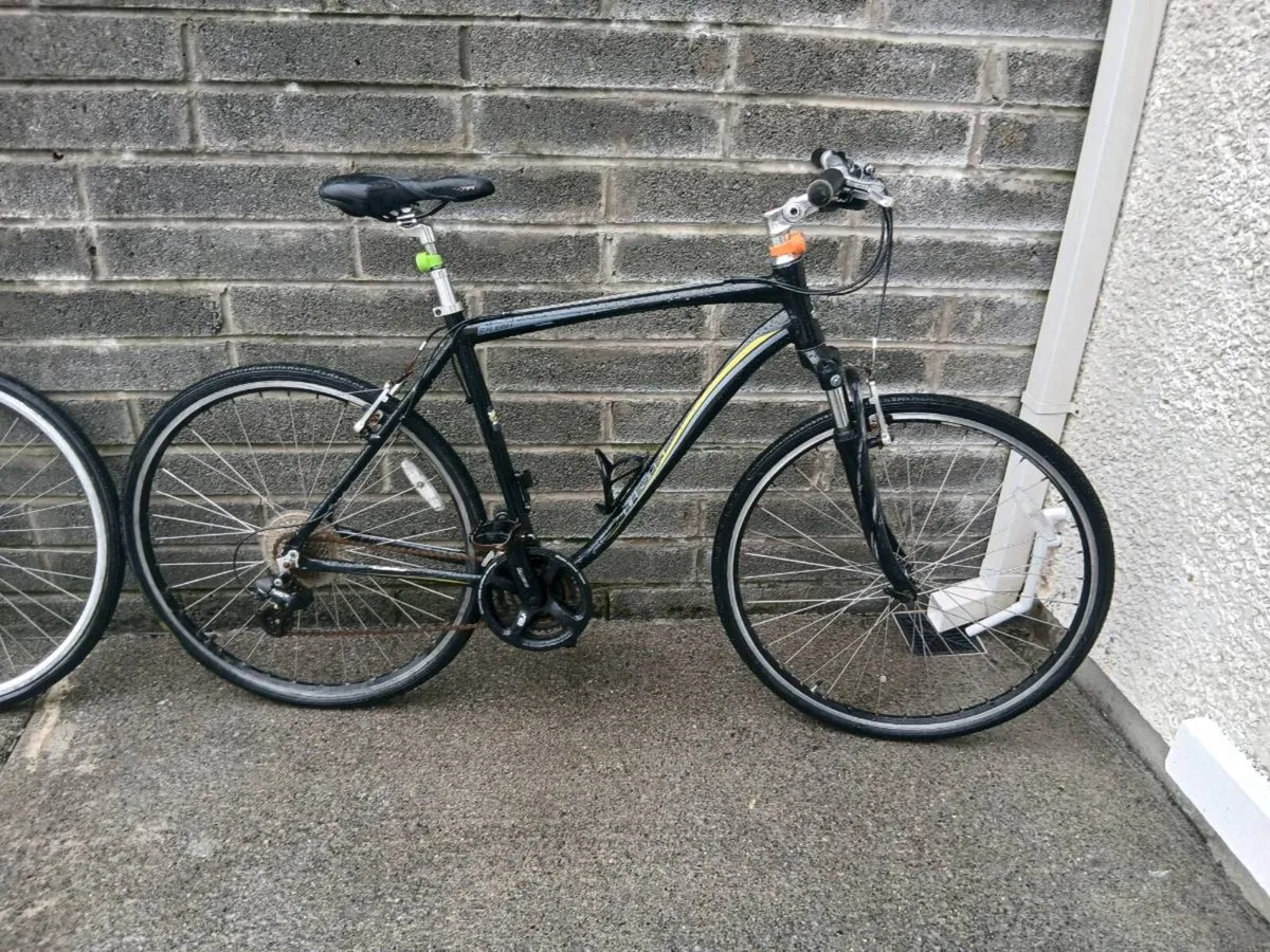 ADULTS RALEIGH BIKE - Image 1