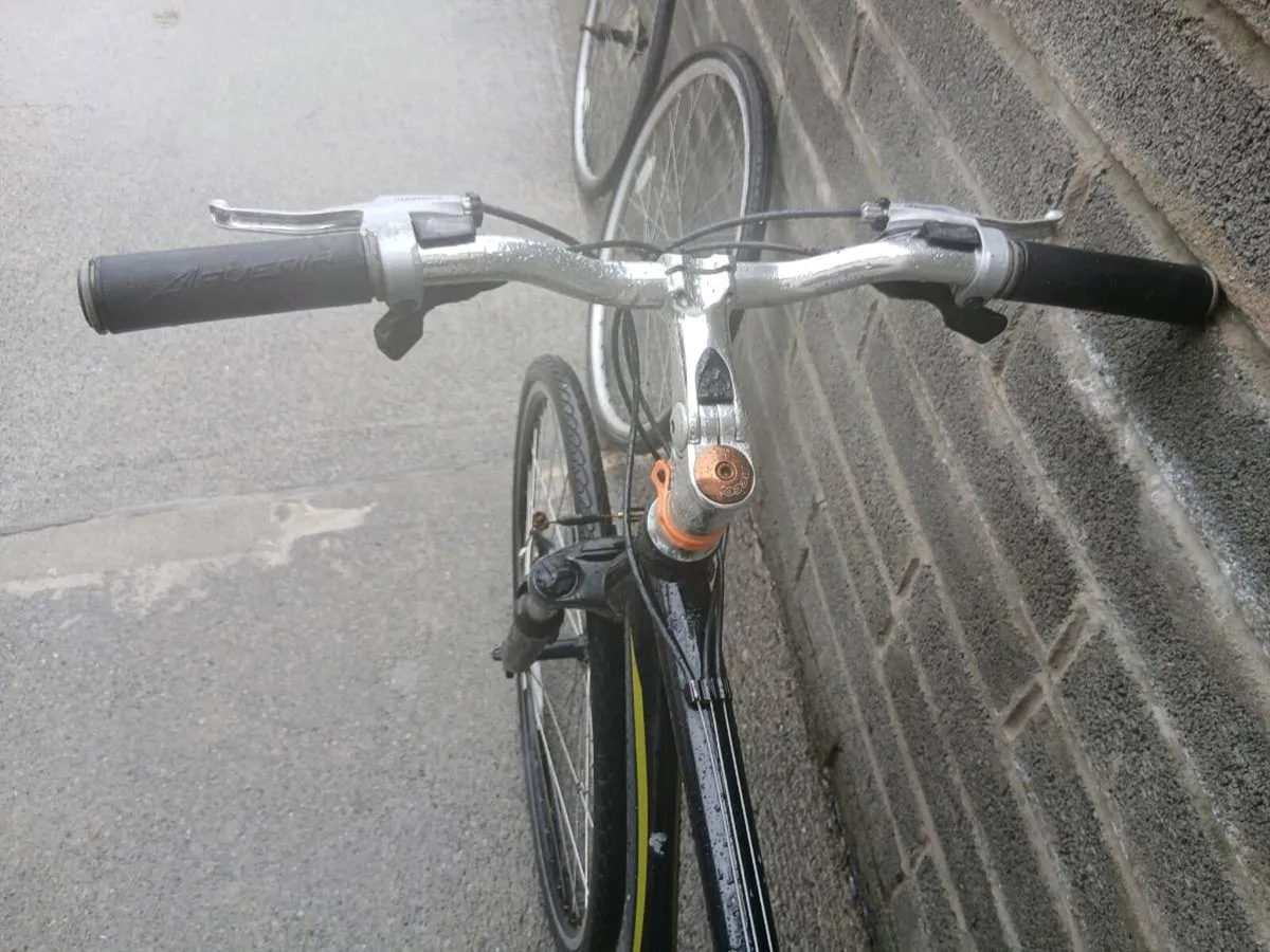 ADULTS RALEIGH BIKE - Image 3