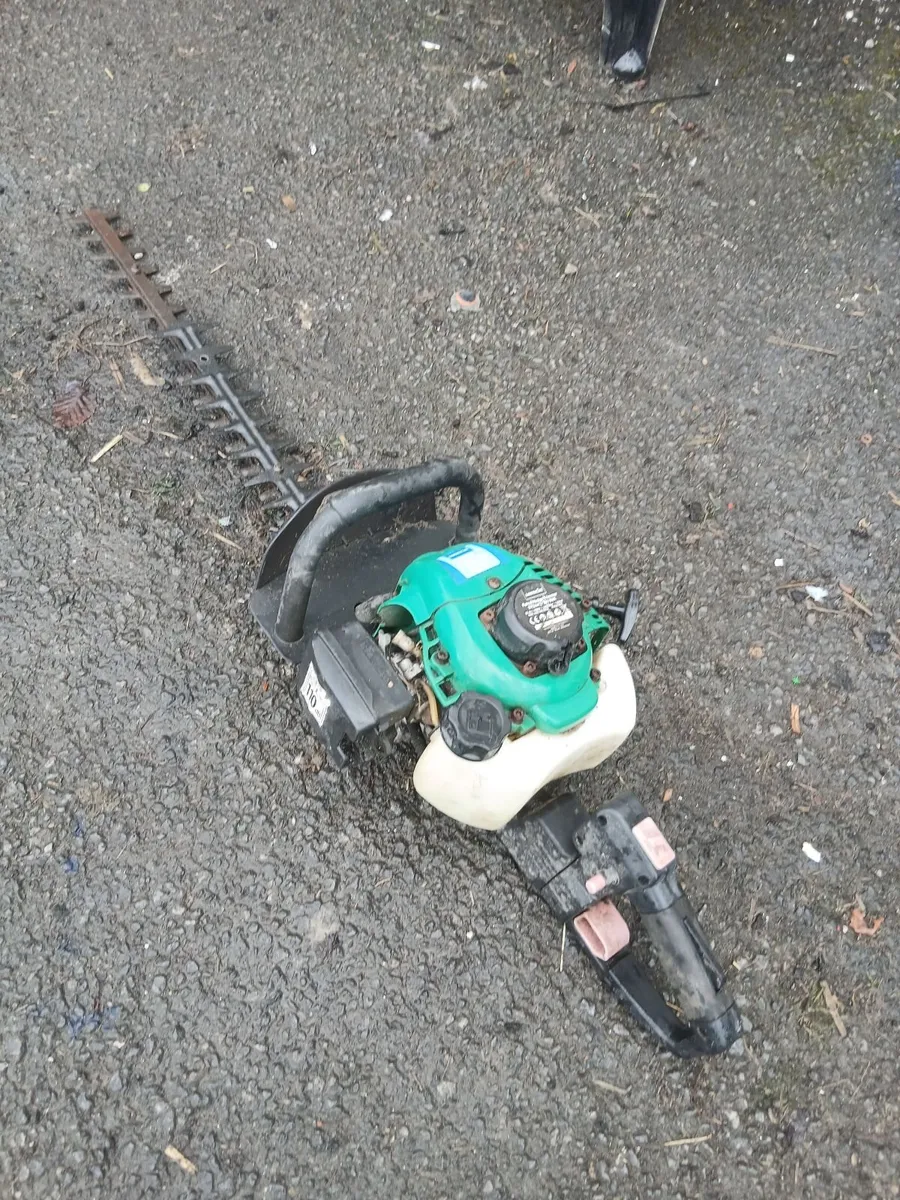 2018 chainsaw 2 hedge strummers read adf - Image 2