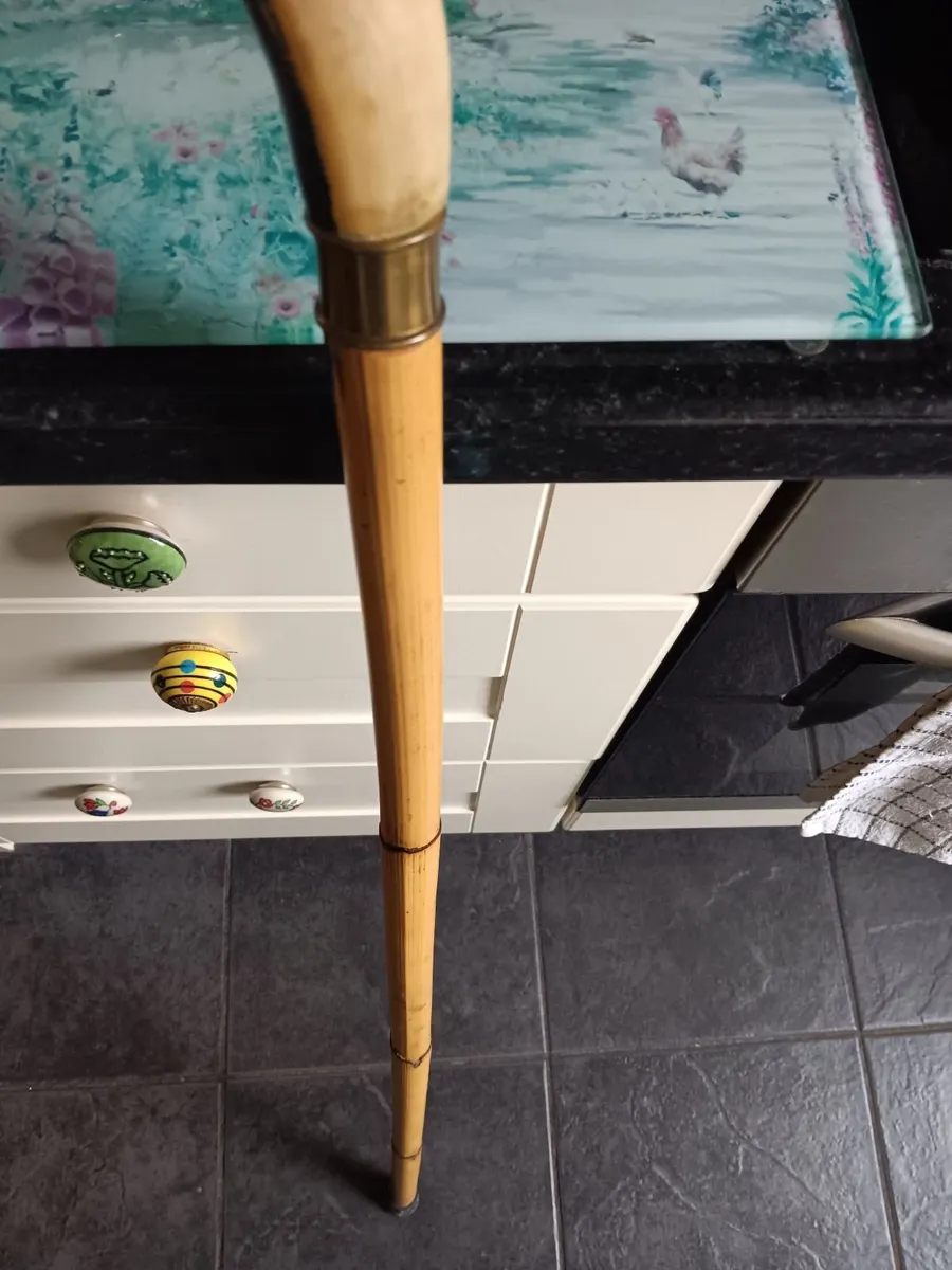 Antique walking sticks - Image 4