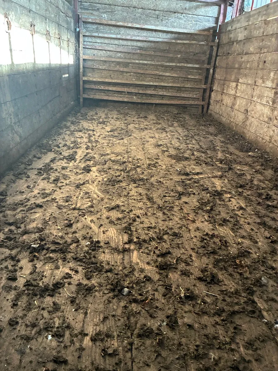 Cattle trailer - Image 4