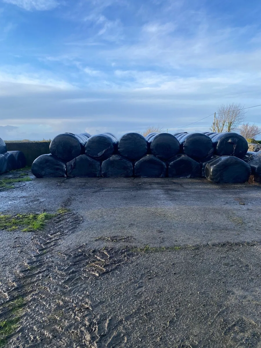 Bales for sale