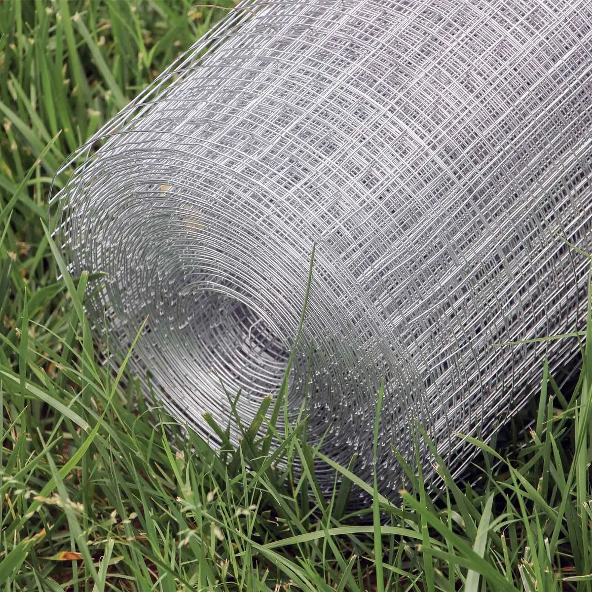 WIRE MESH AVIARY FENCING ENCLOSURE..FREE DELIVERY - Image 1