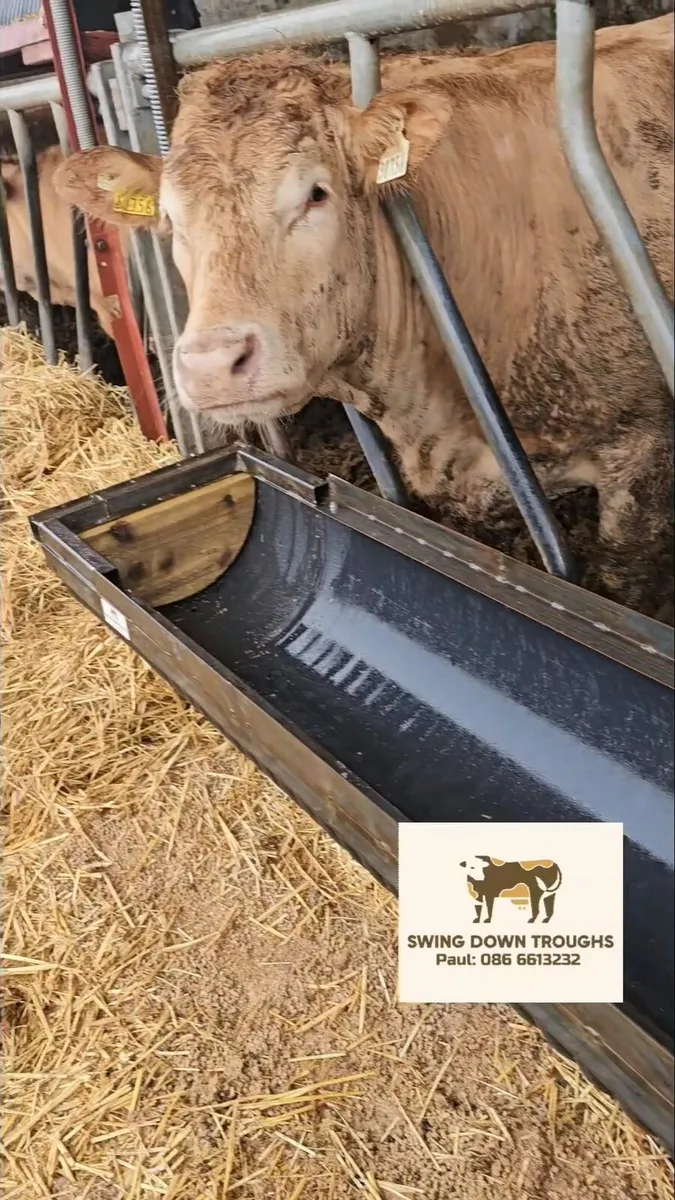 Swing Down Troughs Ltd, 18" Adlib Feeder - Image 1