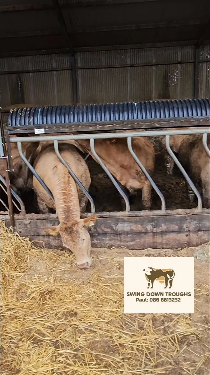 Swing Down Troughs Ltd, 18" Adlib Feeder - Image 3