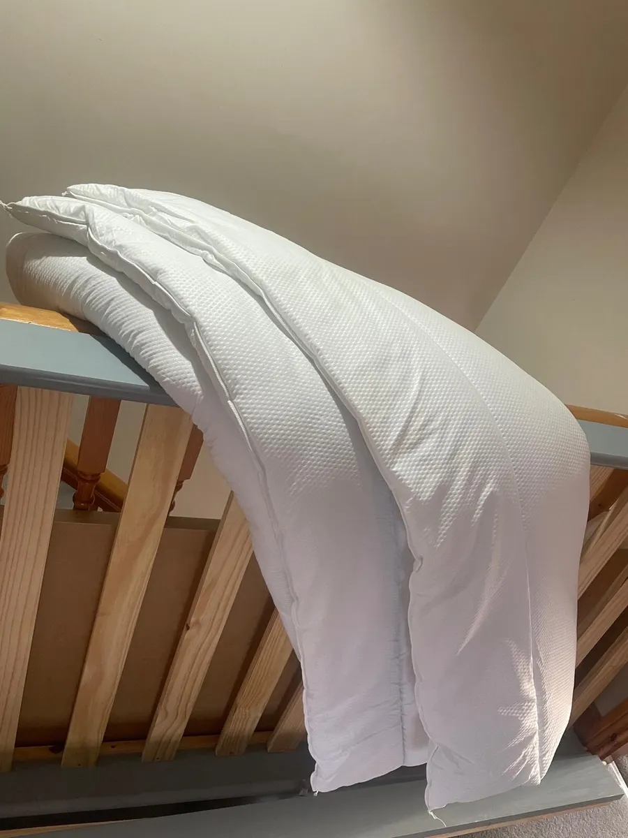 Single Bed (2 available), Mattress + Linen incl. - Image 3