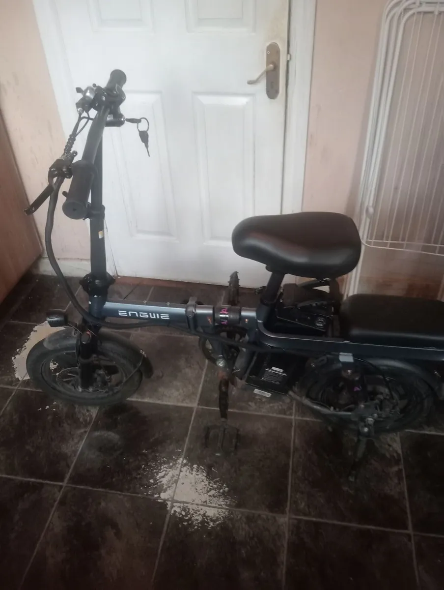 Electric bike - Image 1