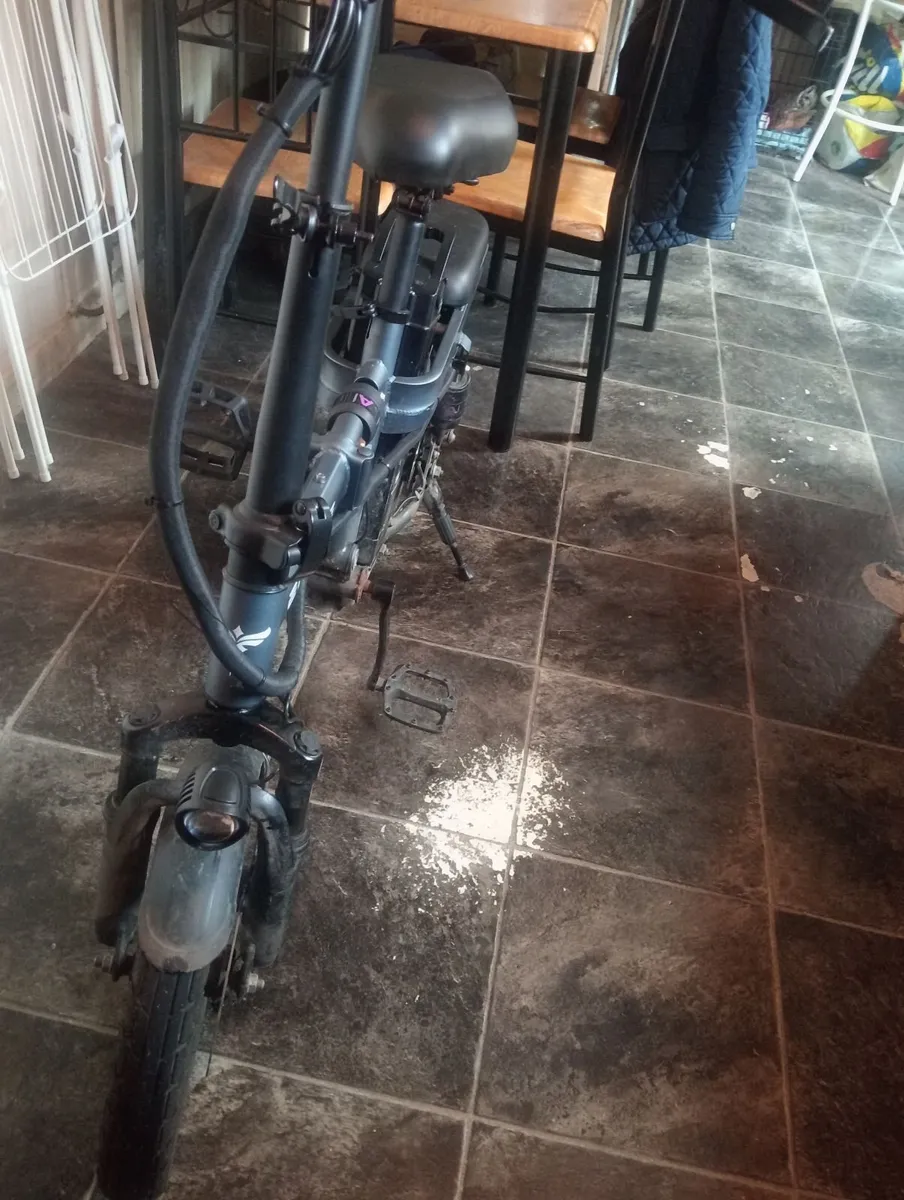 Electric bike - Image 2