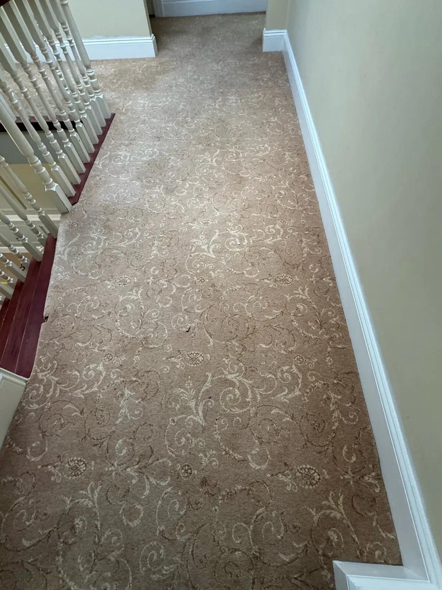 18sqm Brintons Wool Carpet - Image 4