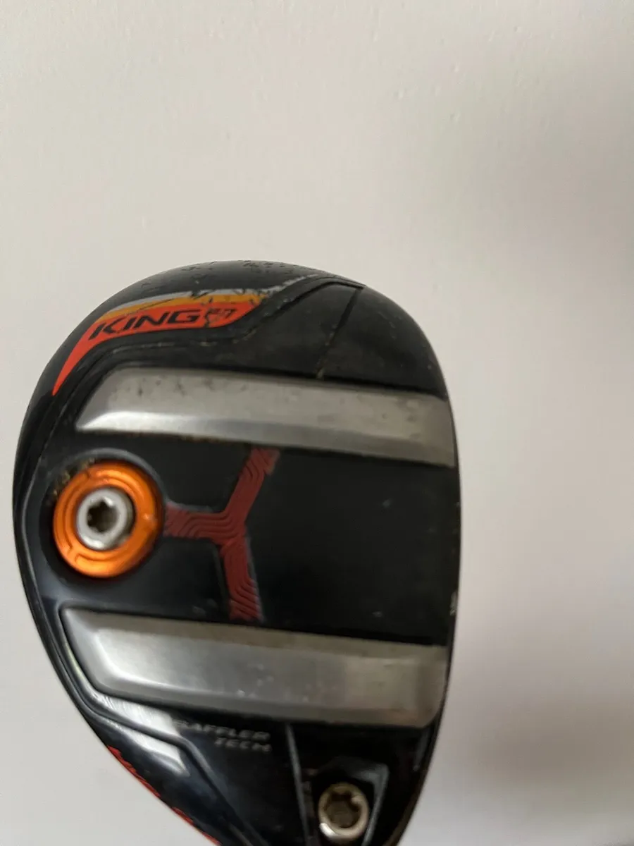 Cobra hybrid - Image 4