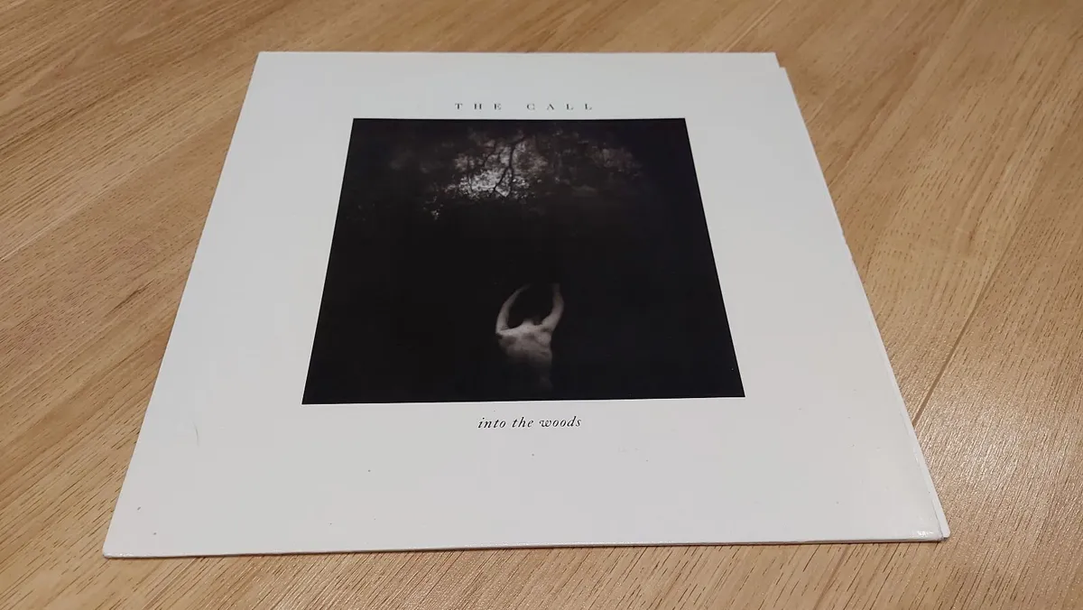 THE CALL - INTO THE WOODS - VINYL RECORD