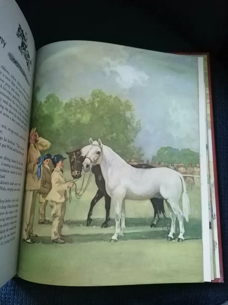 Album of Horses" by Marguerite Henry  (1970) - Image 3