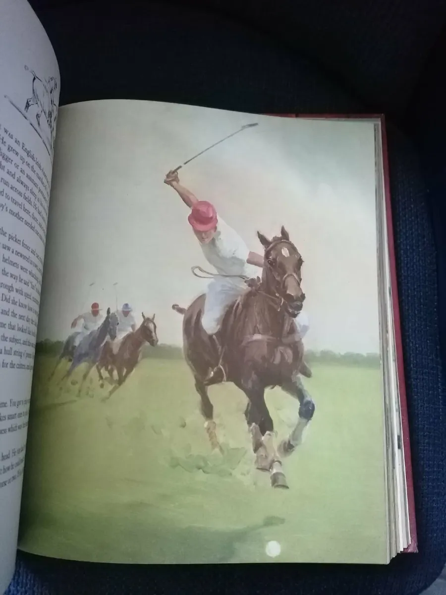 Album of Horses" by Marguerite Henry  (1970) - Image 2