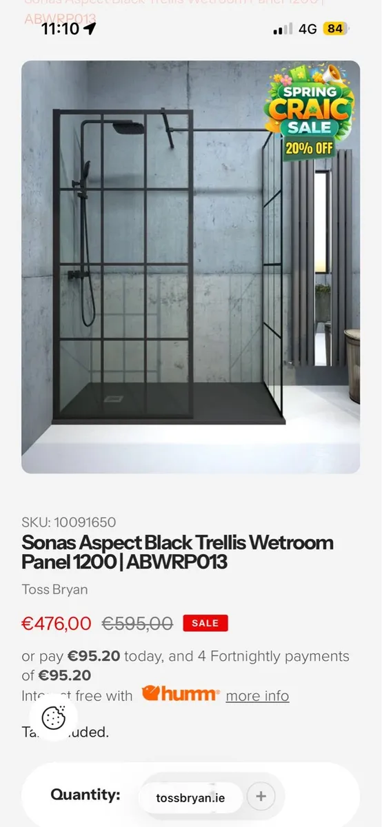 Shower Door - Image 1