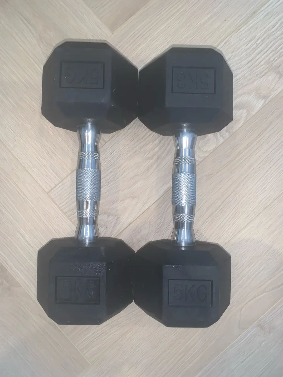 Dumbbells Rubber Hex 5kg - Image 1