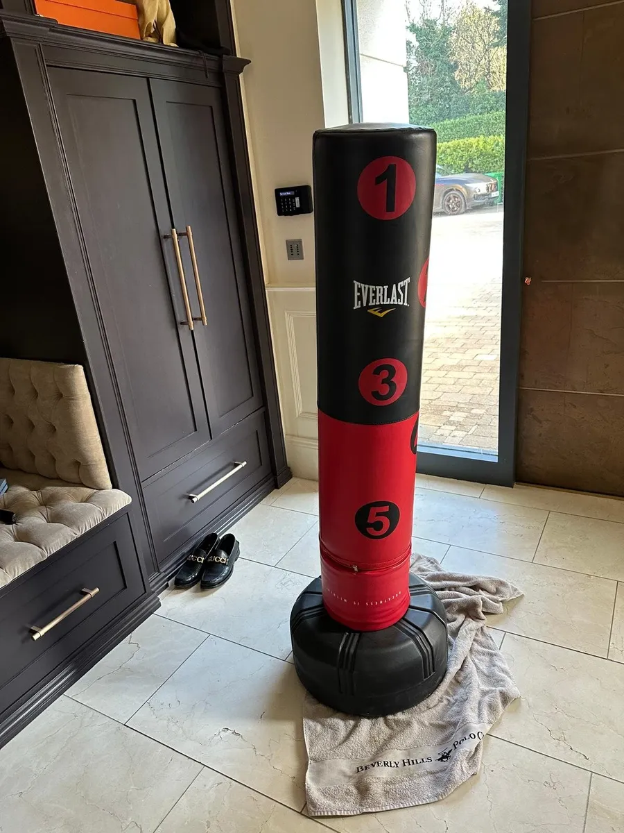 Free standing punch/kick bag - Image 1