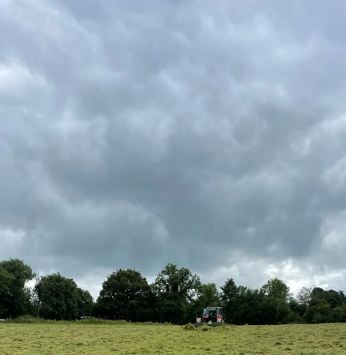 Round bales silage - Image 2