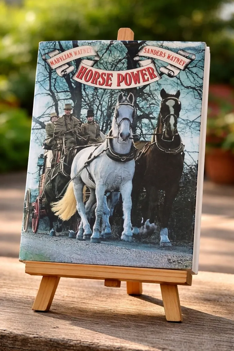Horse Power by Marylian & Sanders Watney - Vintage - Image 1