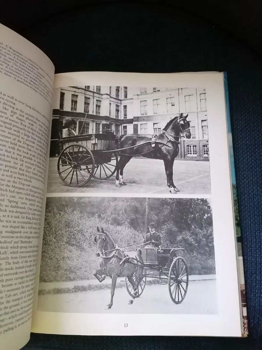 Horse Power by Marylian & Sanders Watney - Vintage - Image 3