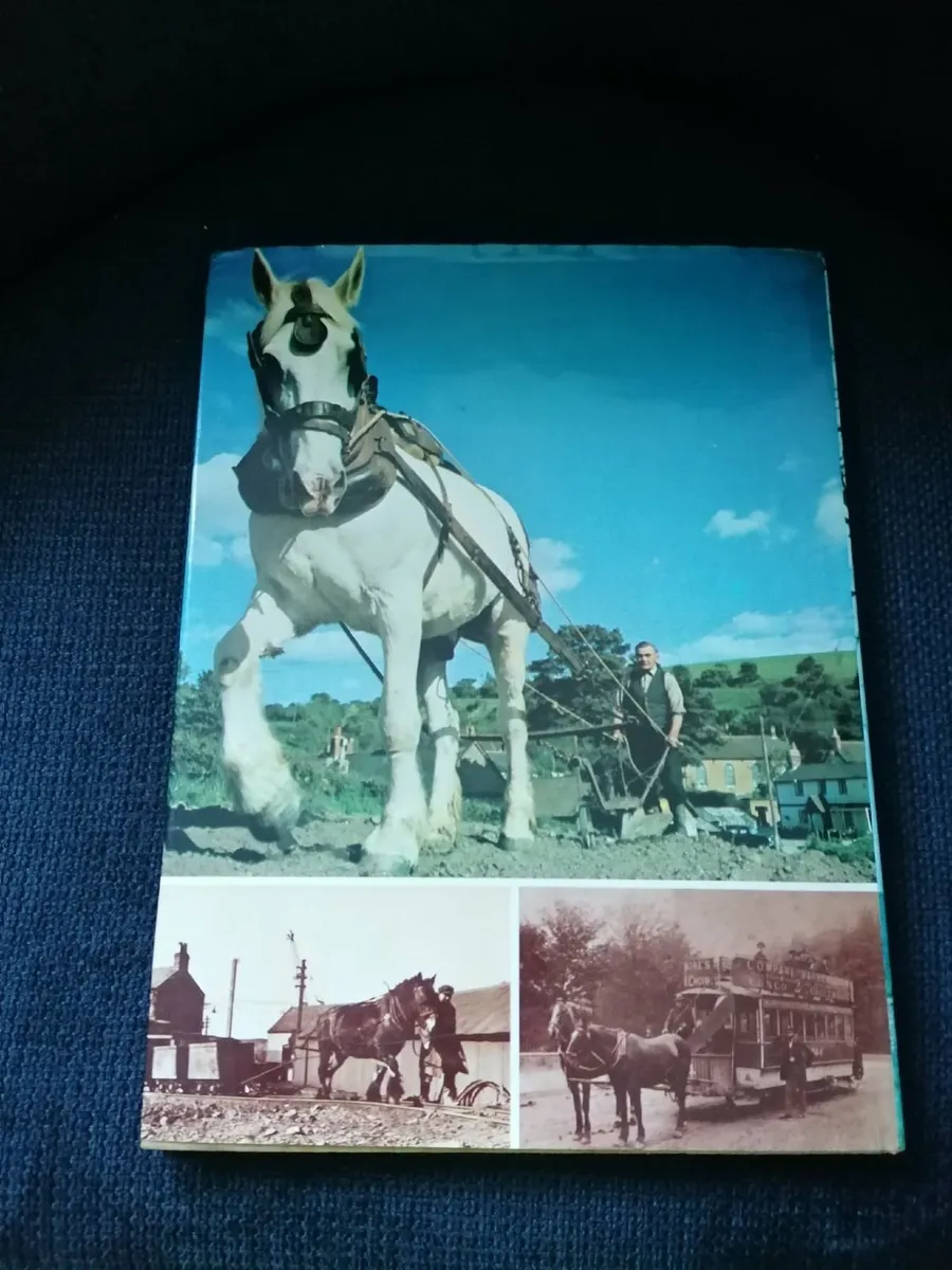 Horse Power by Marylian & Sanders Watney (1975) - Image 4