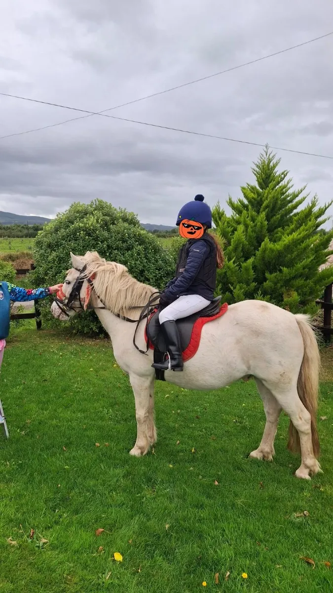 12.2 gleding - Image 1