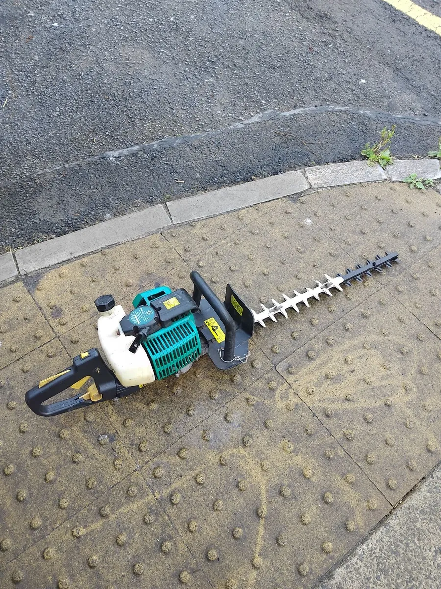 2 hedge strummers running very well priced - Image 3