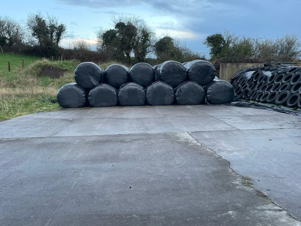 Round bales silage - Image 1
