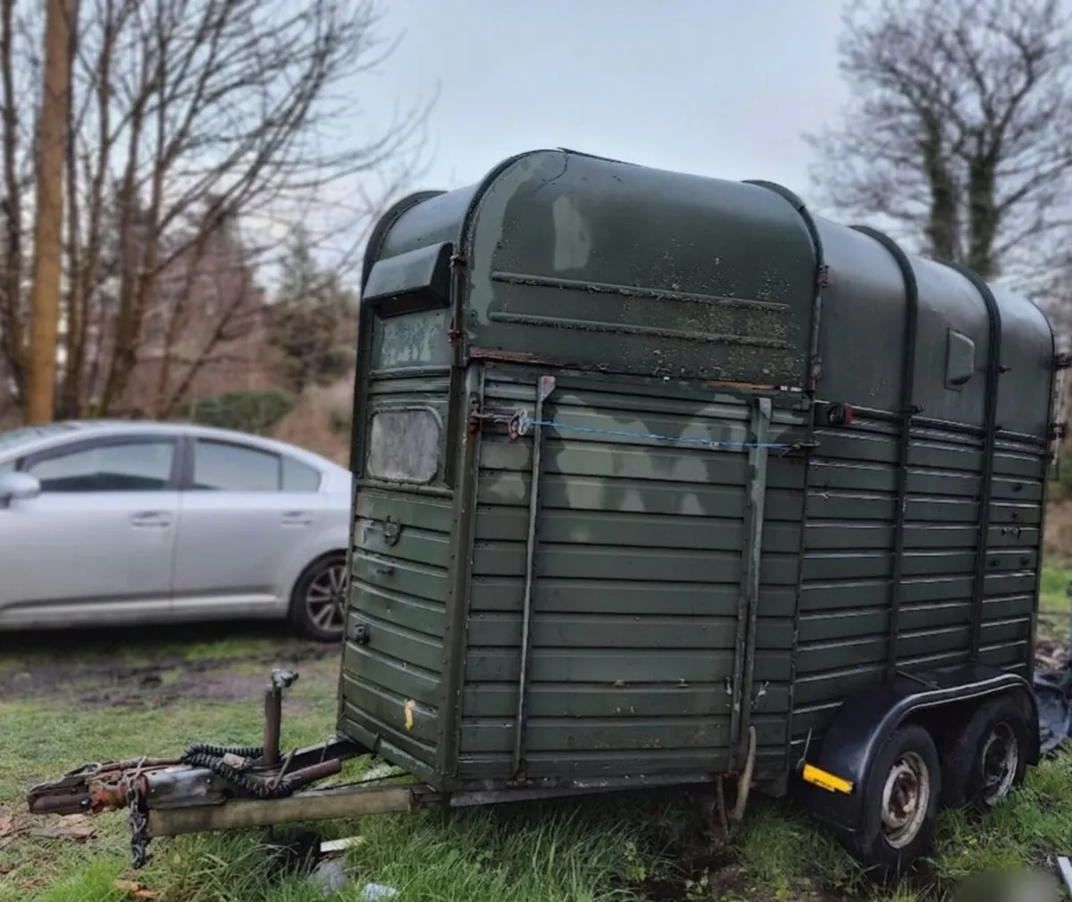 Rice Trailer - Image 3