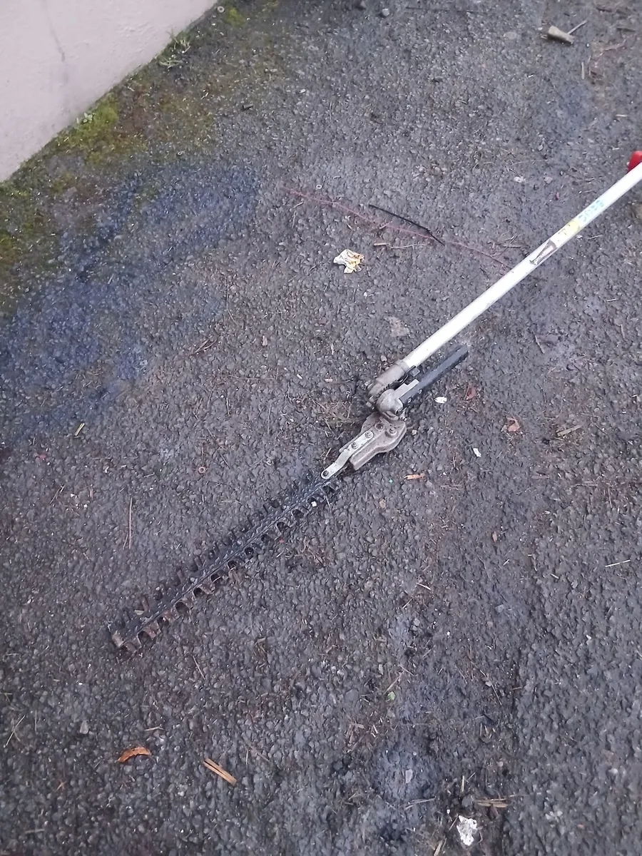 Hedge strummers running very well price - Image 2