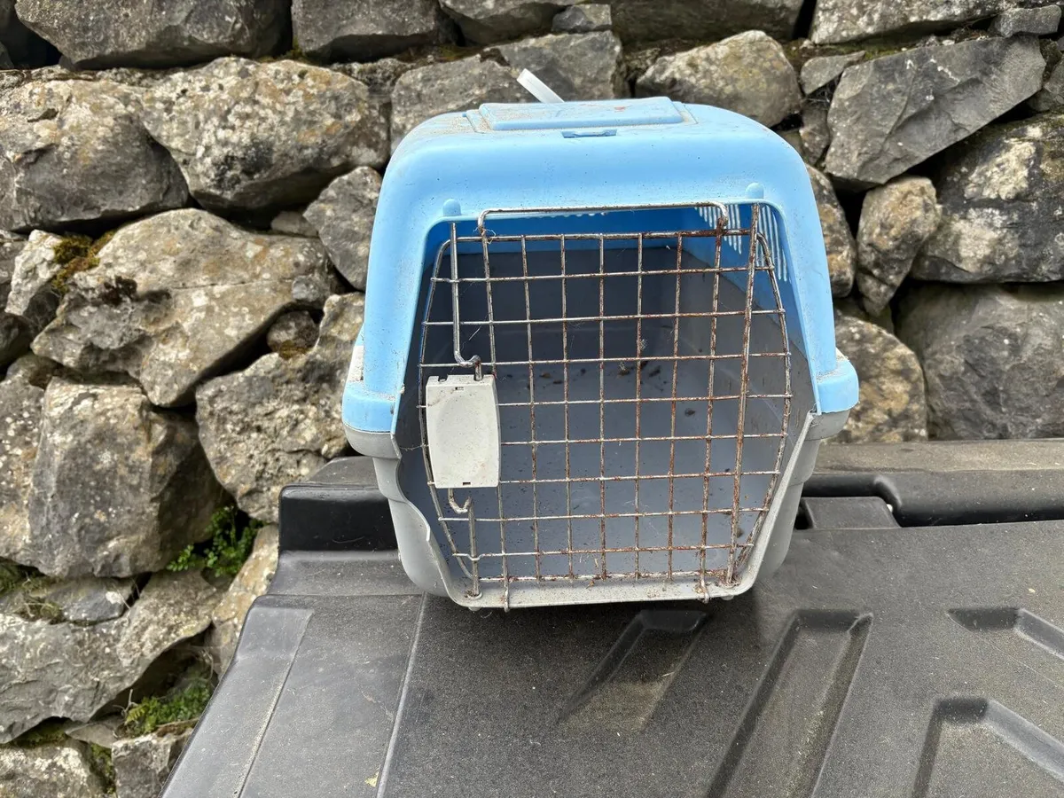 Cat carrier - Image 1