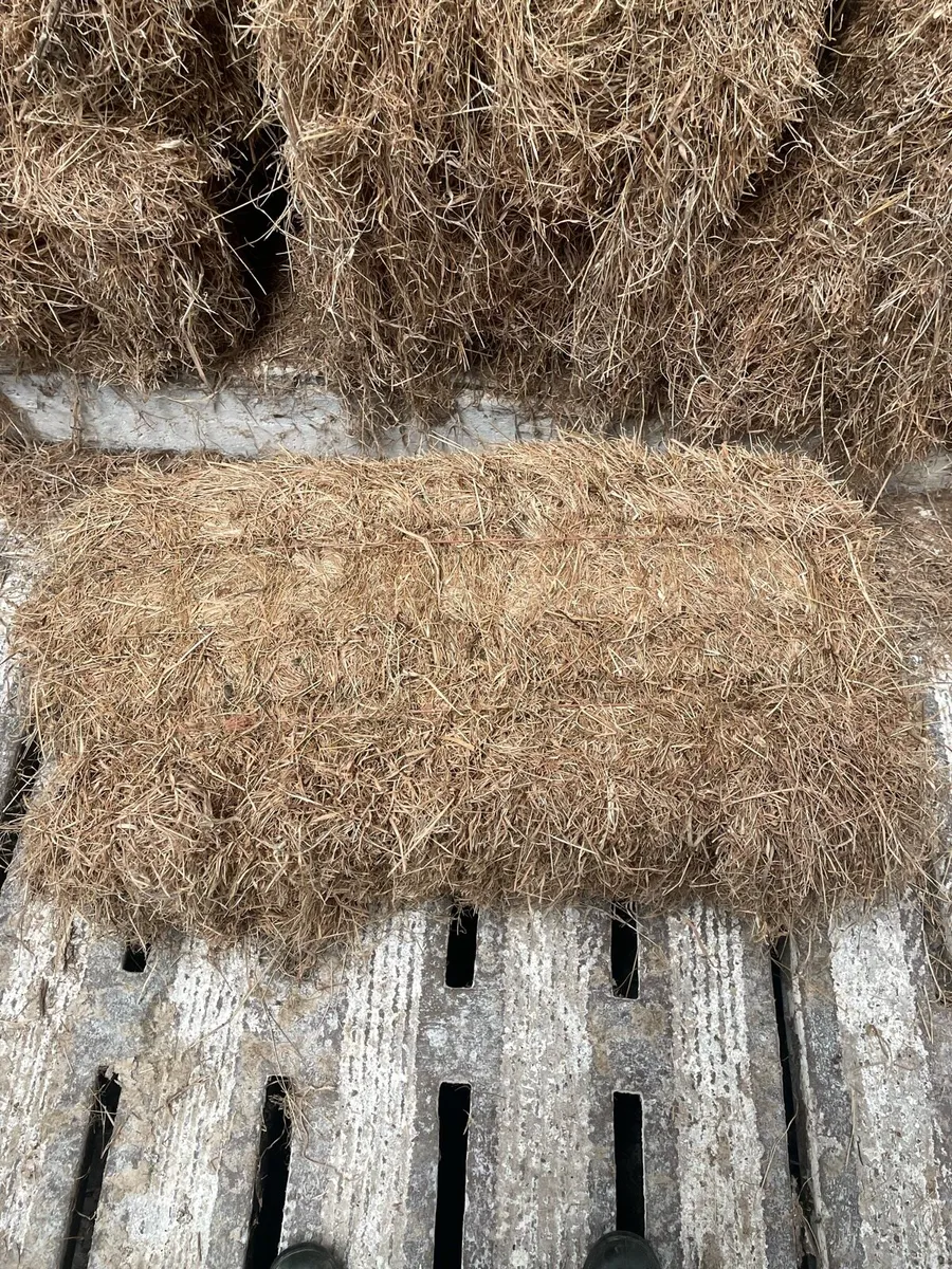 HAY BALES FOR SALE - Image 1