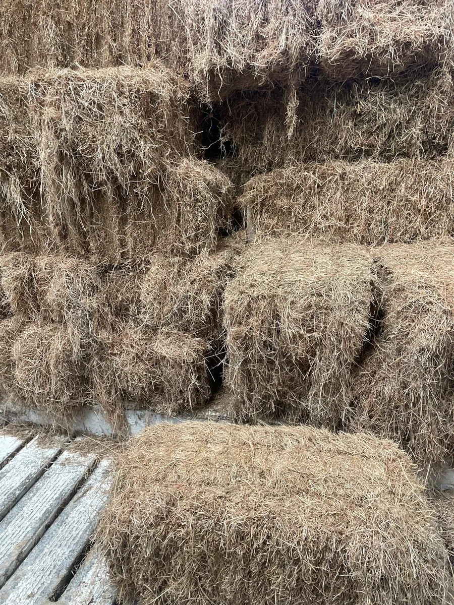 HAY BALES FOR SALE - Image 3