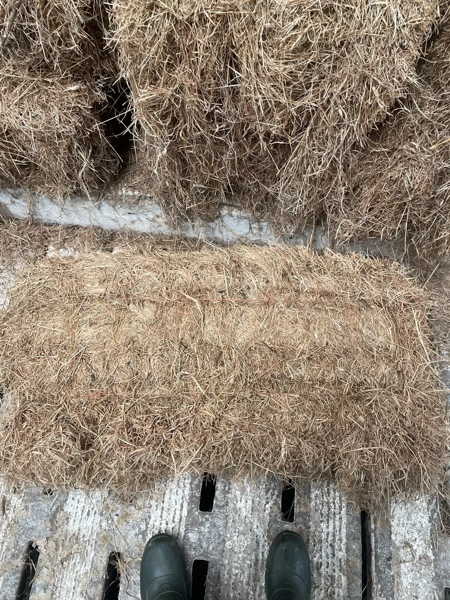 HAY BALES FOR SALE - Image 2