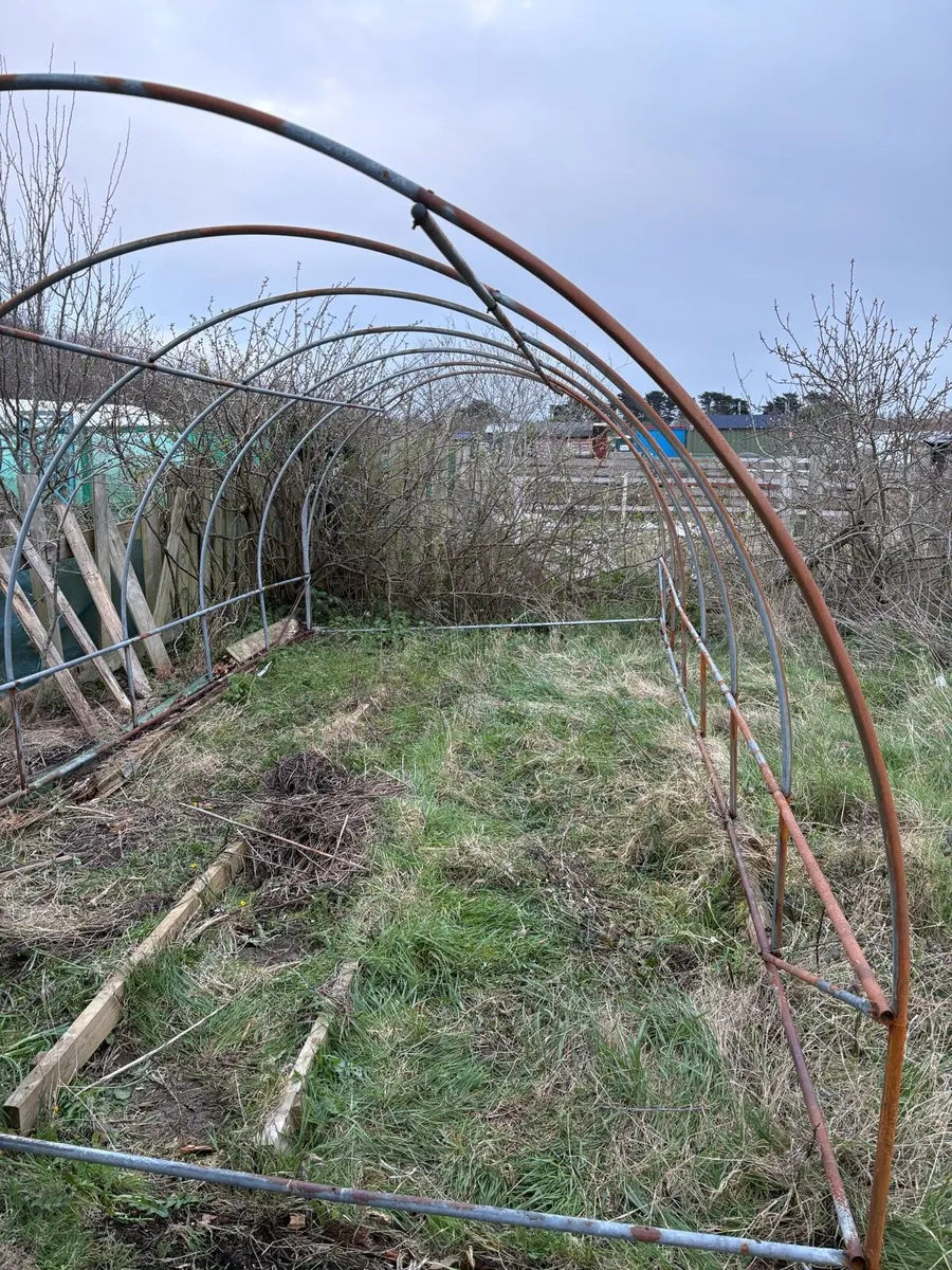 Poly tunnel frame - Image 1