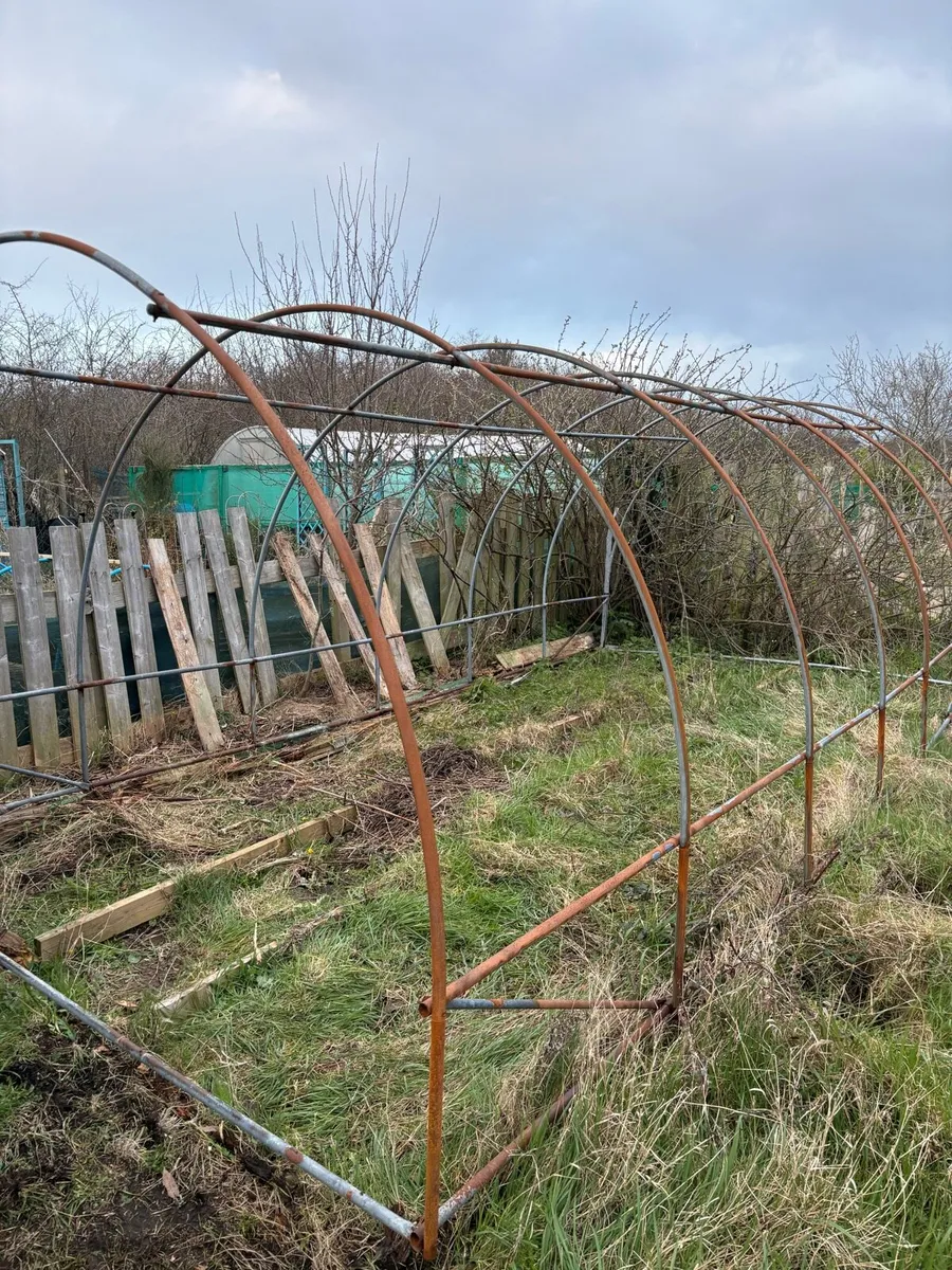 Poly tunnel frame - Image 2