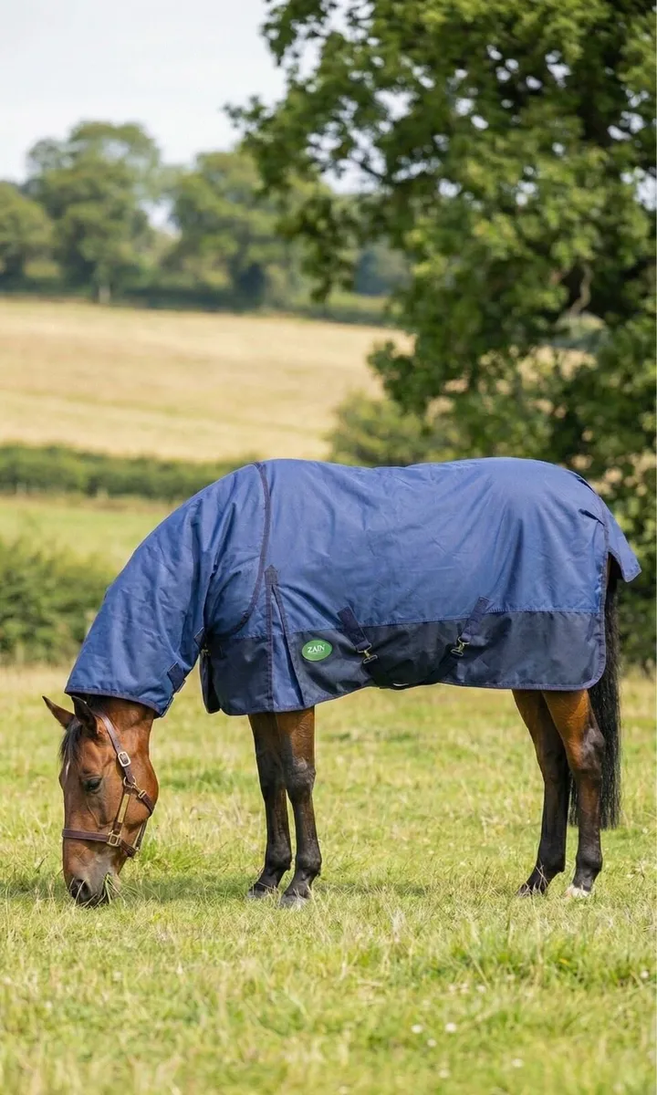 Outdoor rugs - Image 4