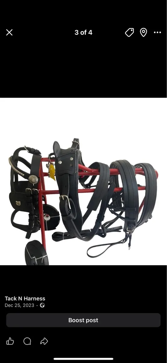 Leather driving harness - Image 2