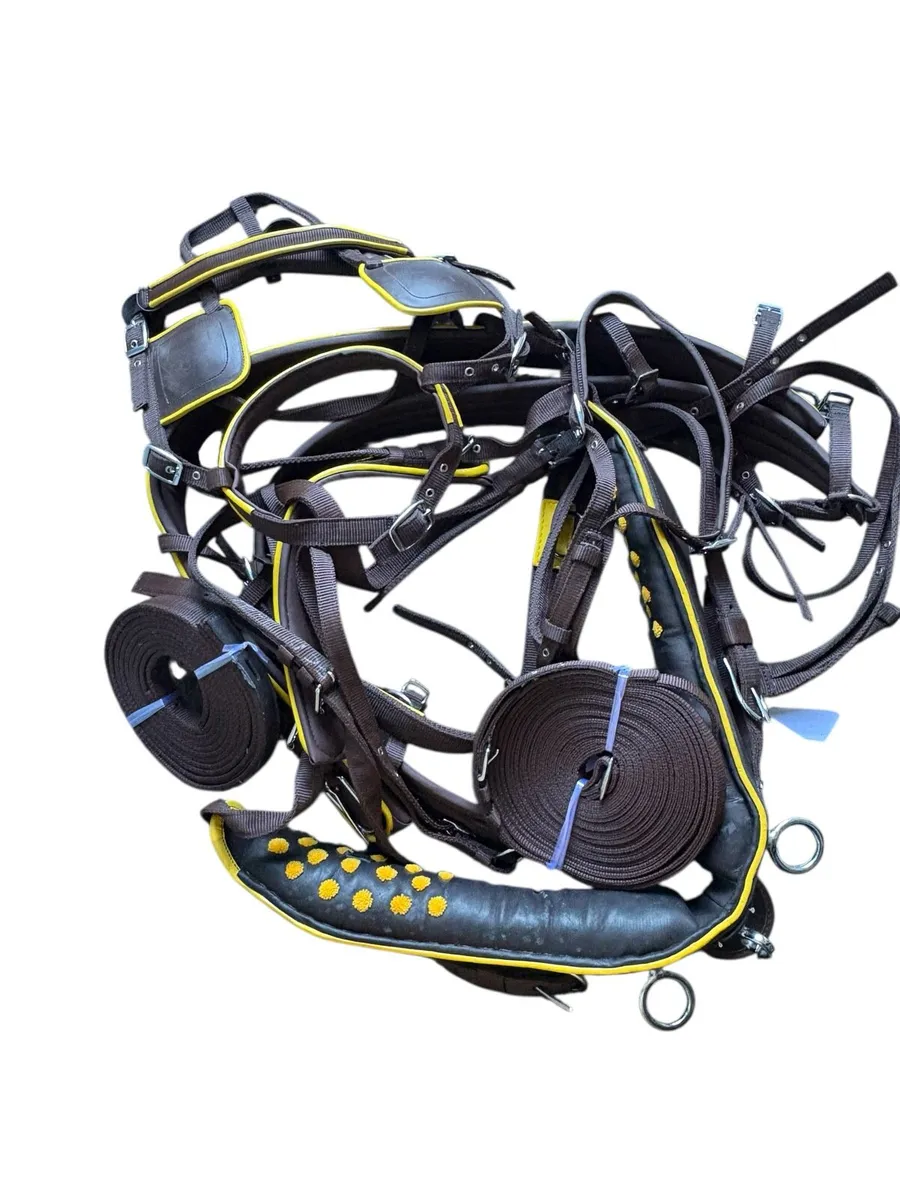 Nylon horse harness - Image 1
