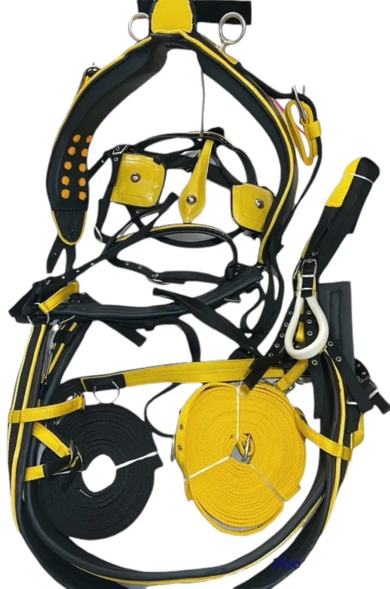Nylon horse harness - Image 3
