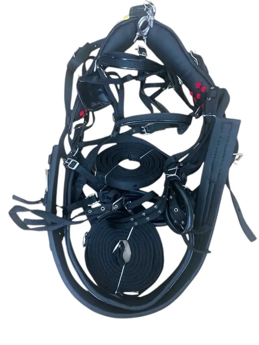 Nylon horse harness - Image 4