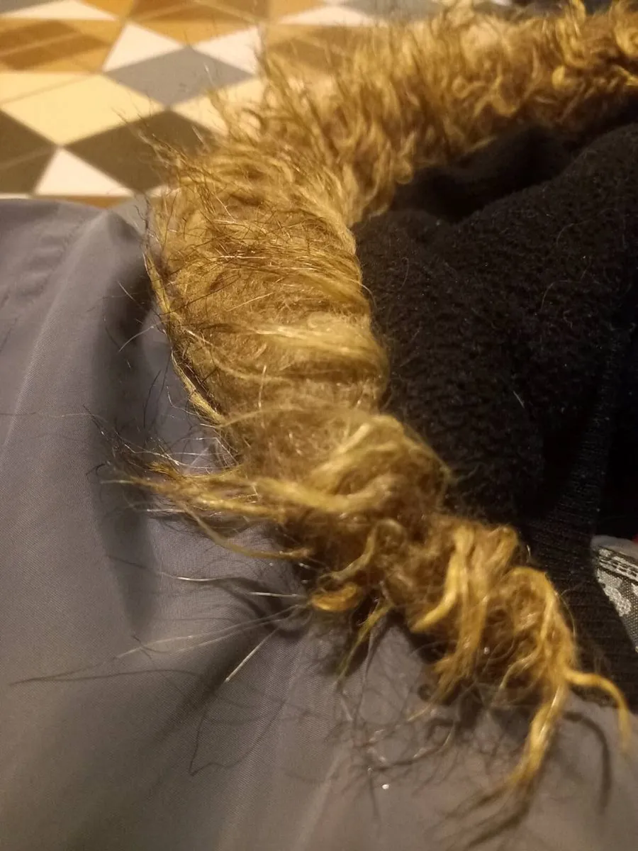 Jackets and gillets Bodywarmer - Image 3