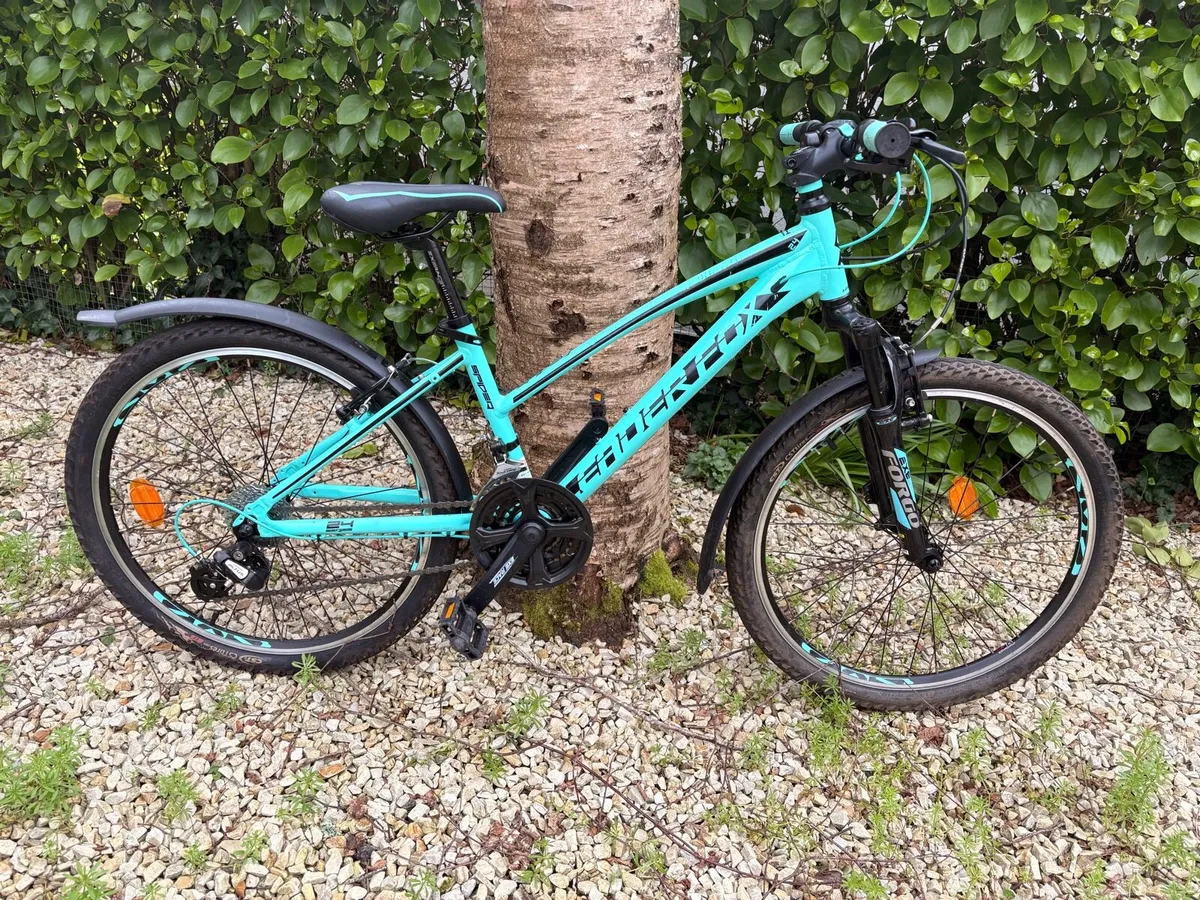 Leaderfox Spider Girl Mountain Bike - Image 2