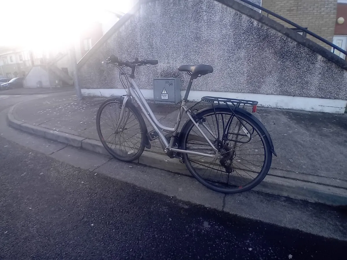 Ladys Raleigh Bike - Image 4