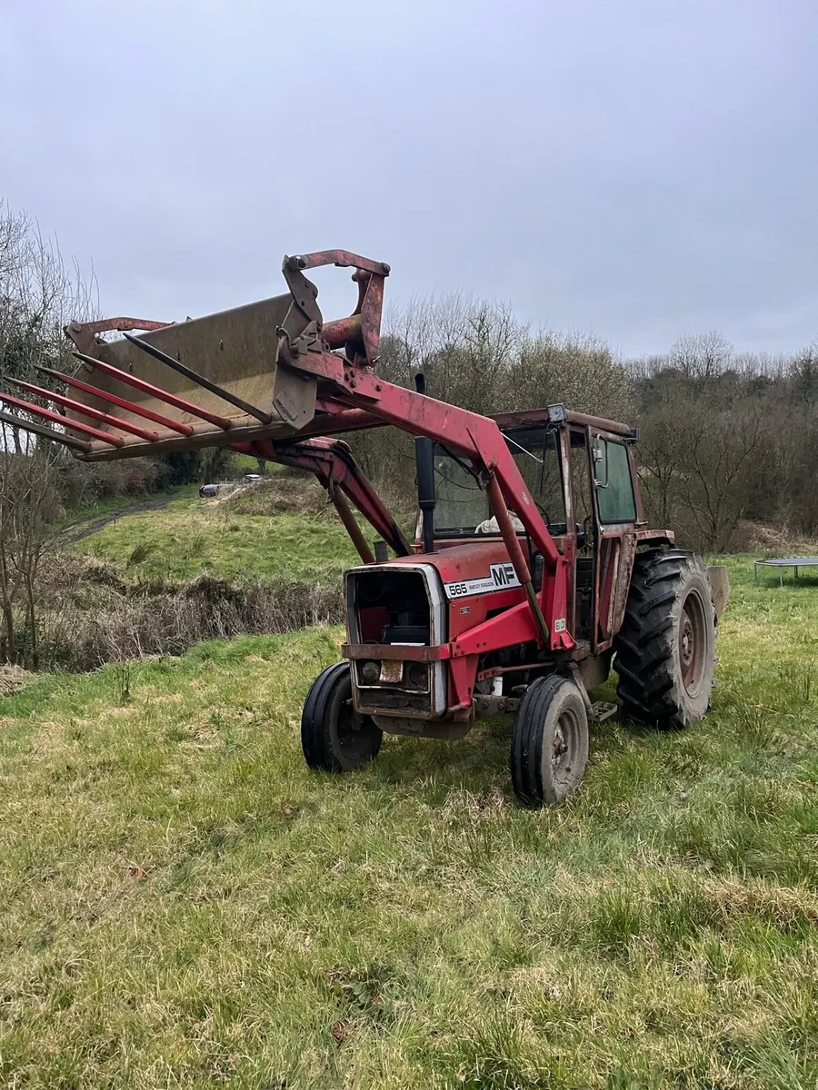 Massey Ferguson 565 - Image 2