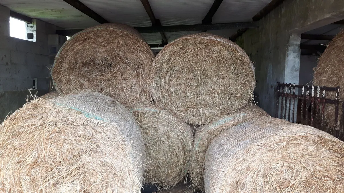 Bales of Rushes