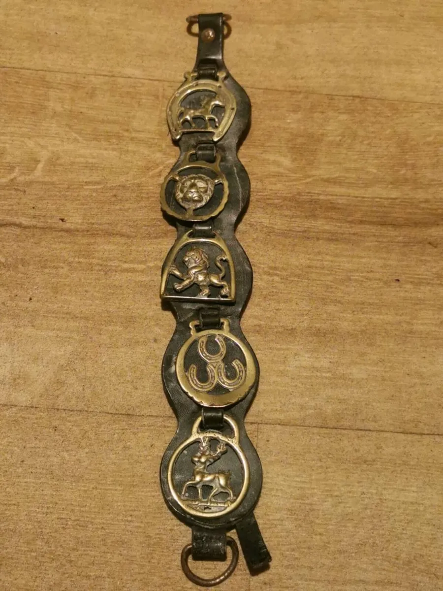 Vintage brass horses harness medallions - Image 4