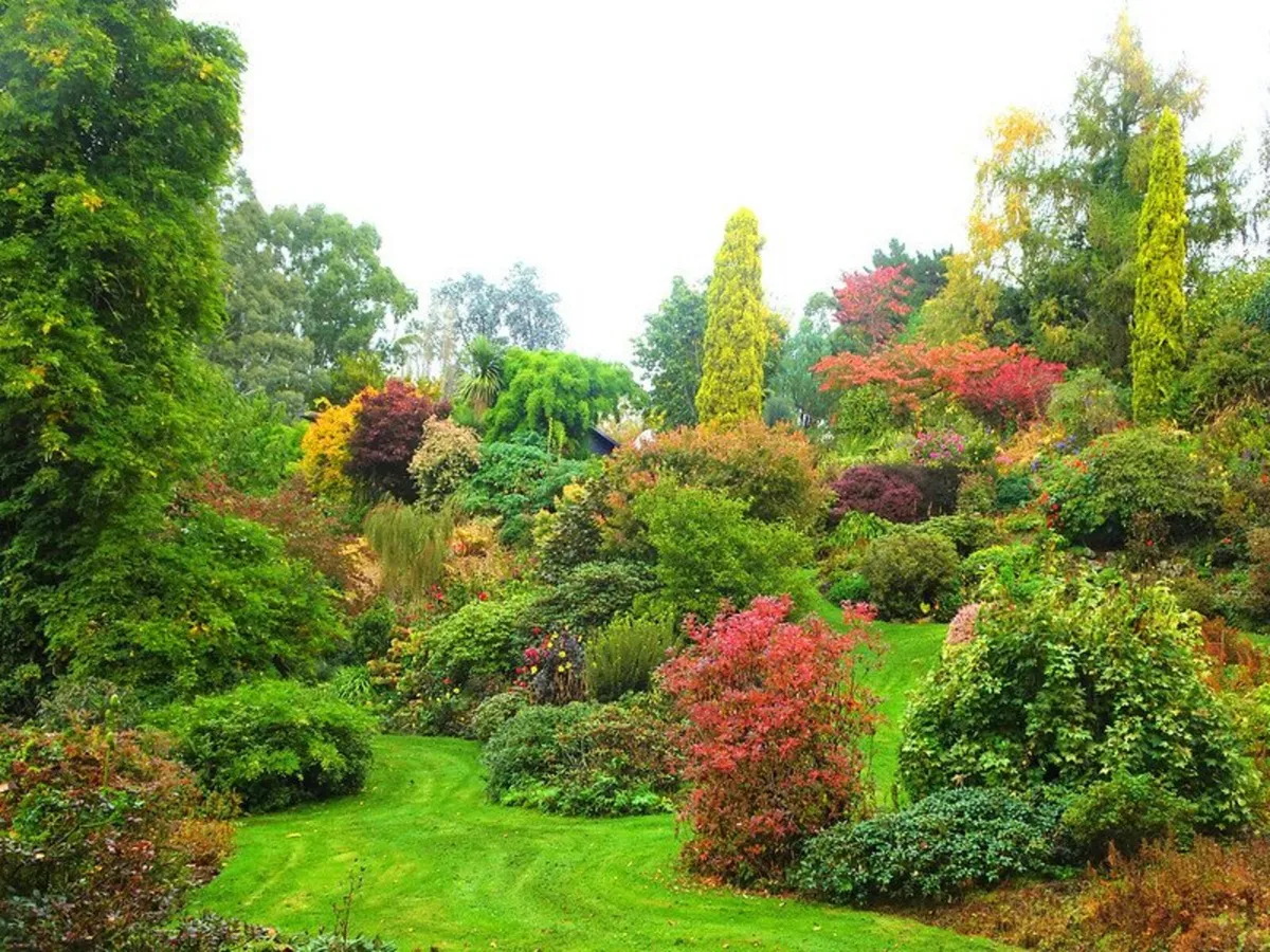 Landscaping services - Image 4