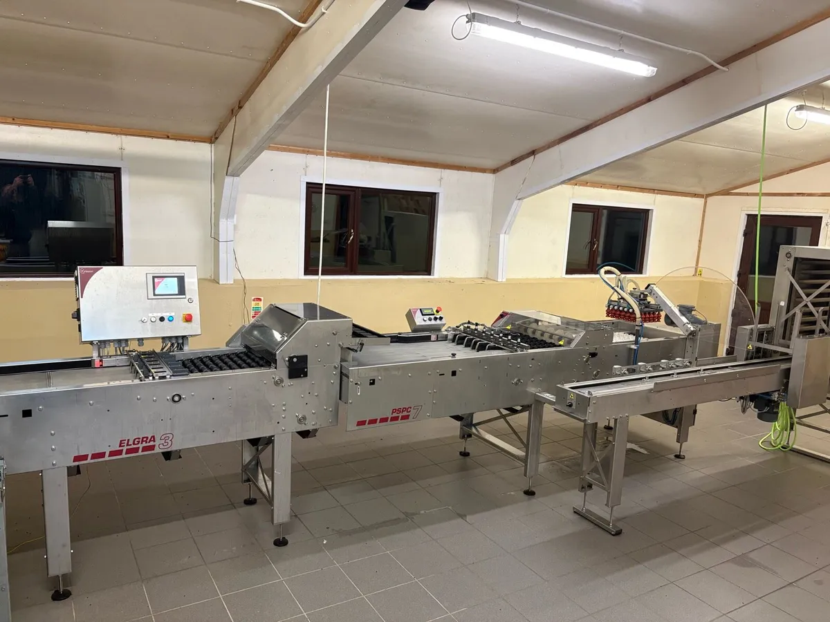 Poultry Equipment Egg Packing Machine - Image 2