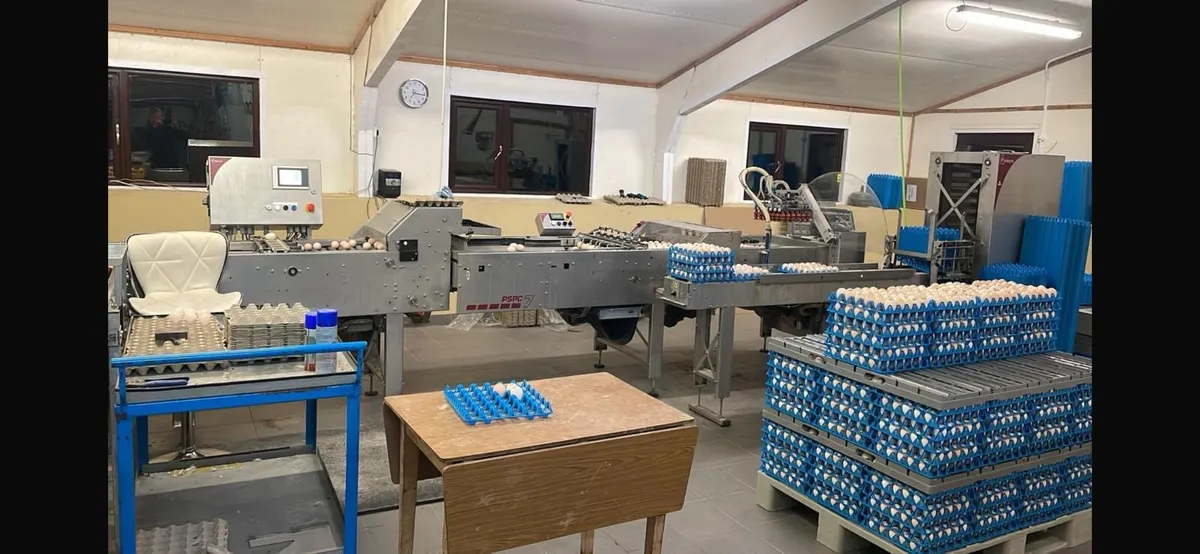 Poultry Equipment Egg Packing Machine - Image 1